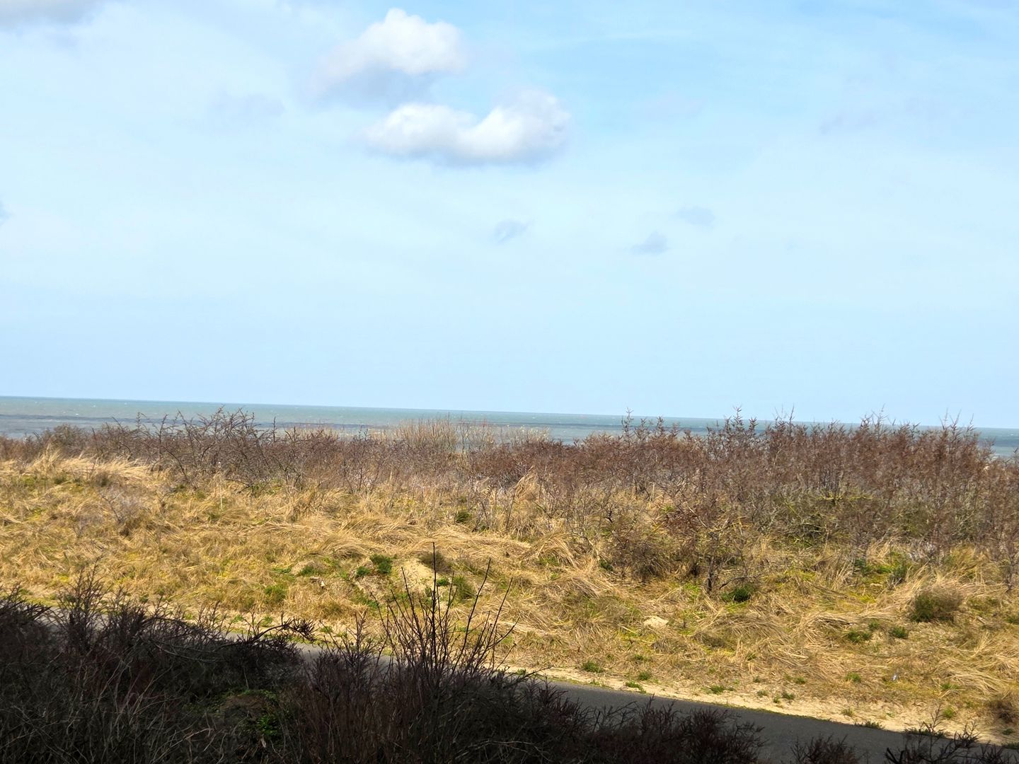 Foto 4 van Boulevard de Wielingen 47-C202