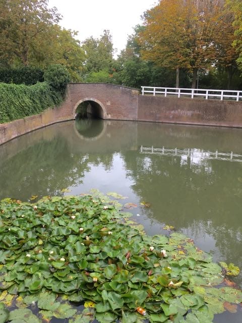 Photo 35 of Munnickenveld 15