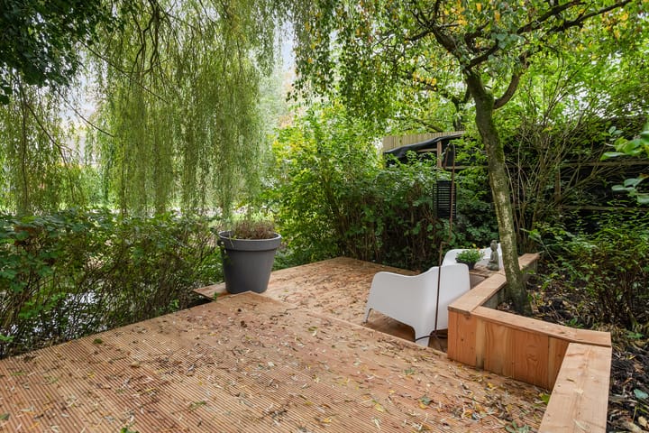 Foto 3 van Duizendblad 29