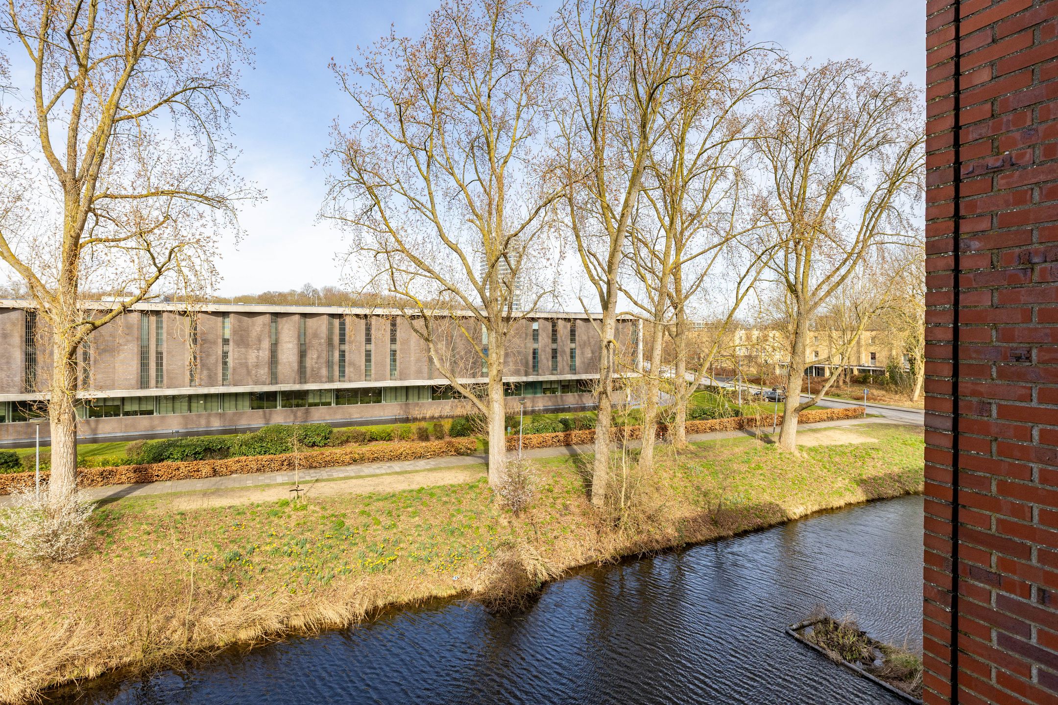 Photo 21 of Helper Oostsingel 42-G