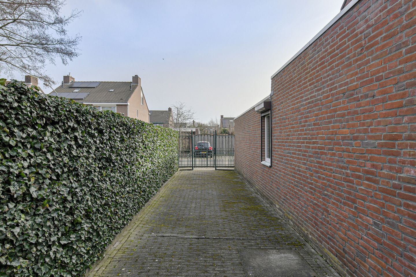 Foto 40 van Reigerstraat 34