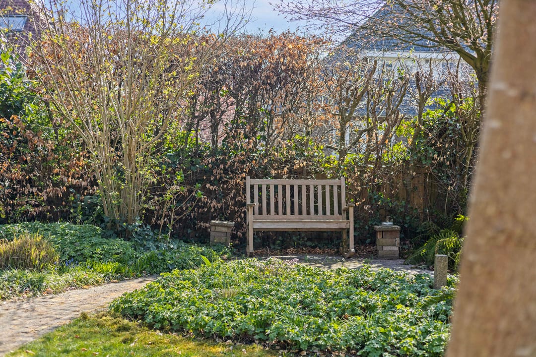 Photo 53 of Van Ruisdaelstraat 11