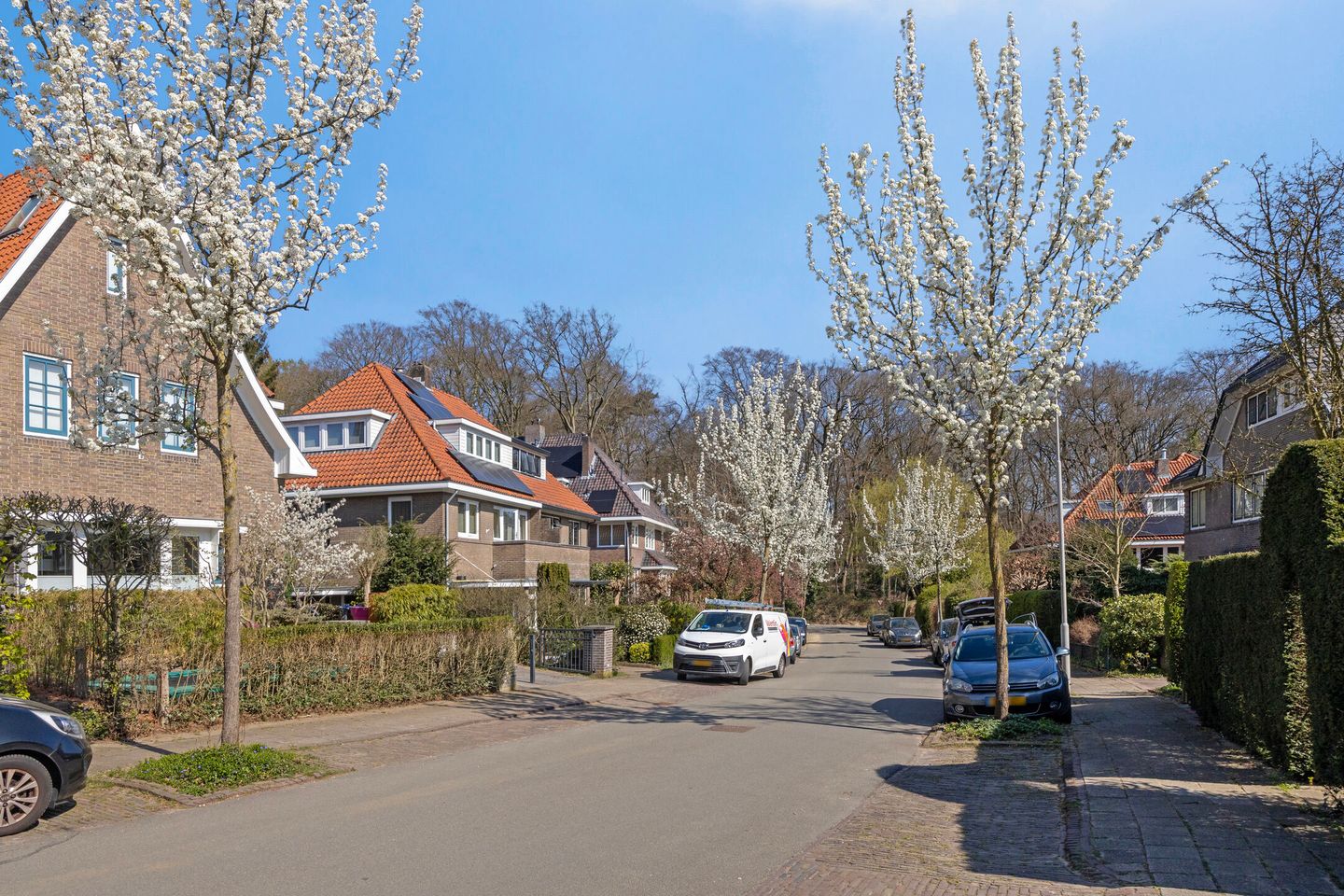 Photo 65 of Van Ruisdaelstraat 11