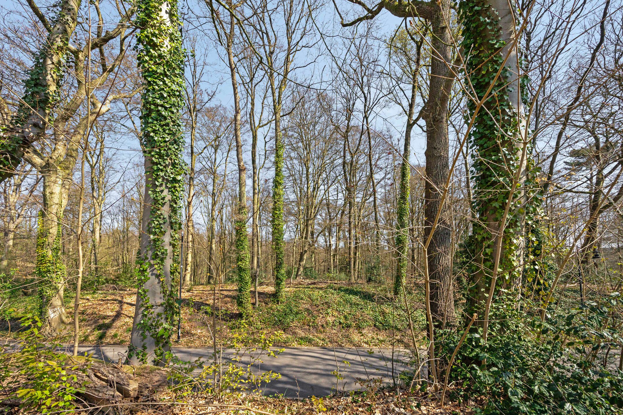 Photo 69 of Van Ruisdaelstraat 11