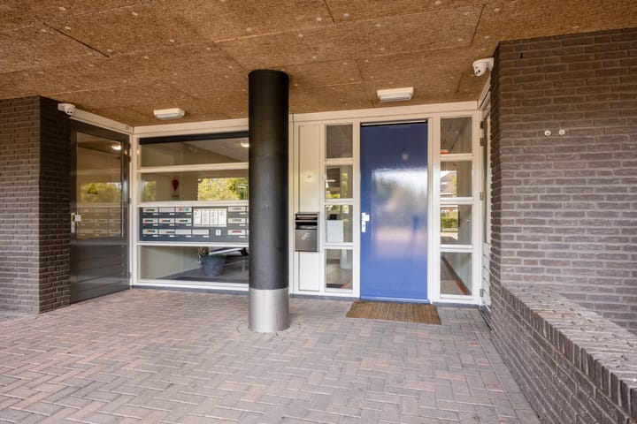 Foto 2 van Lavendel 431