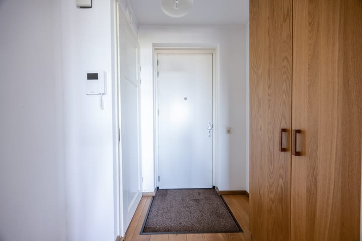 Foto 5 van Lavendel 431