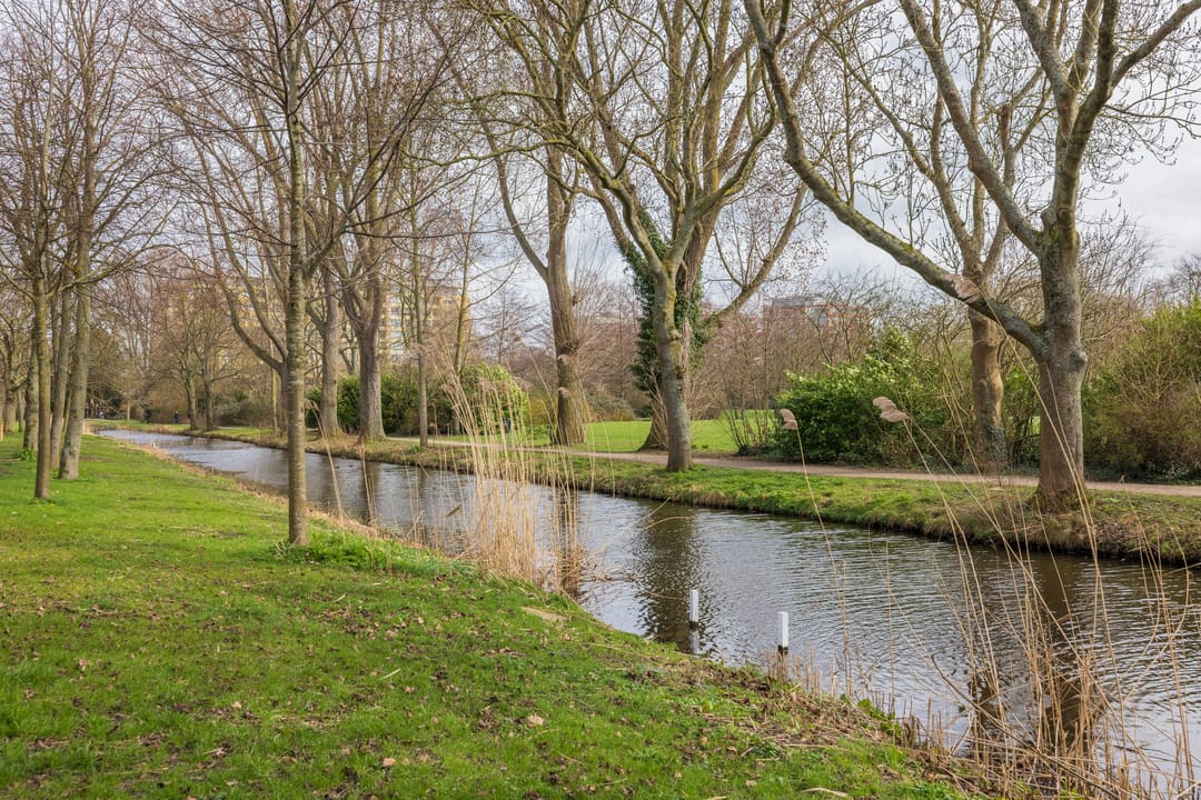 Foto 32 van Scholtenstraat 70