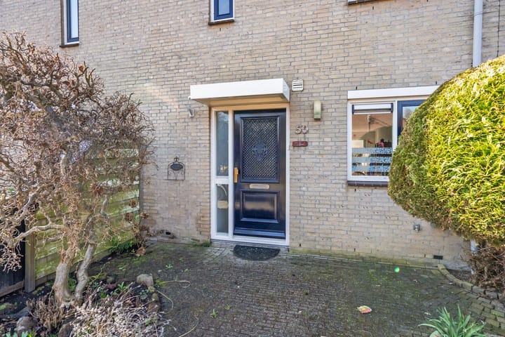 Foto 5 van Waterviolier 50