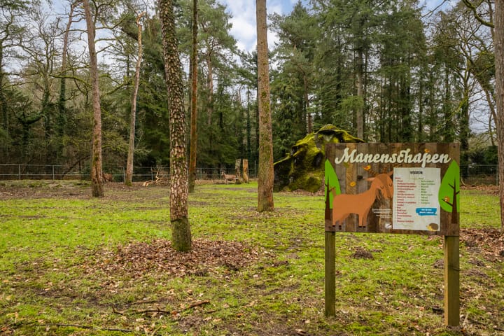 Foto 4 van Prof. Lorentzlaan 83