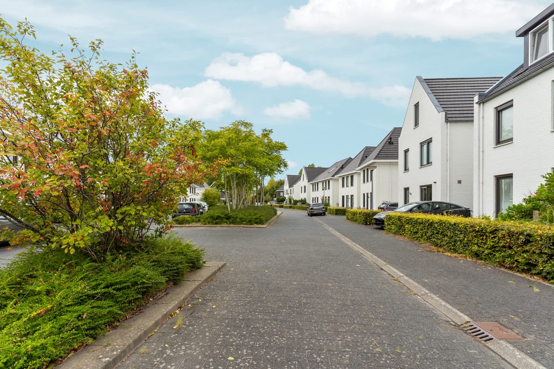 Foto 7 van Timmersteek 20