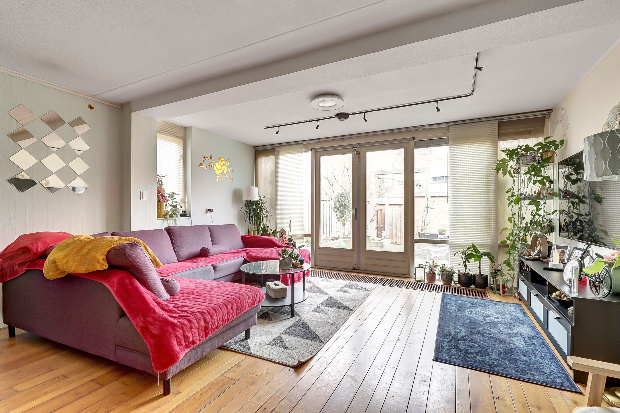 Photo 3 of Zilvermeeuw 18