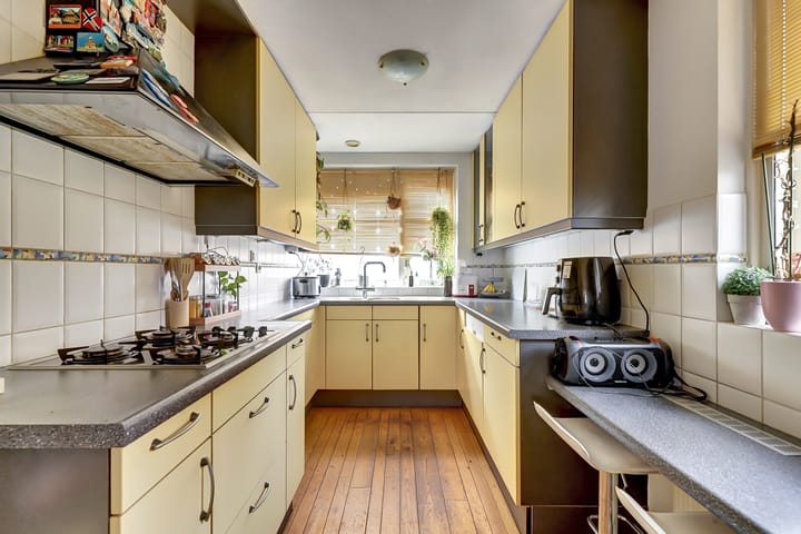 Foto 4 van Zilvermeeuw 18