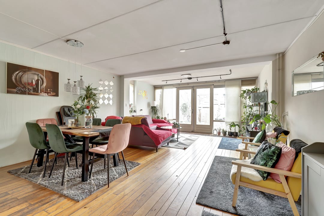 Photo 7 of Zilvermeeuw 18