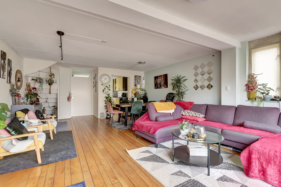 Photo 8 of Zilvermeeuw 18