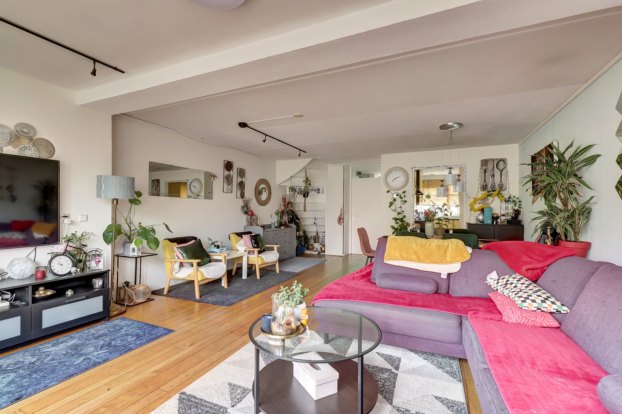 Photo 9 of Zilvermeeuw 18