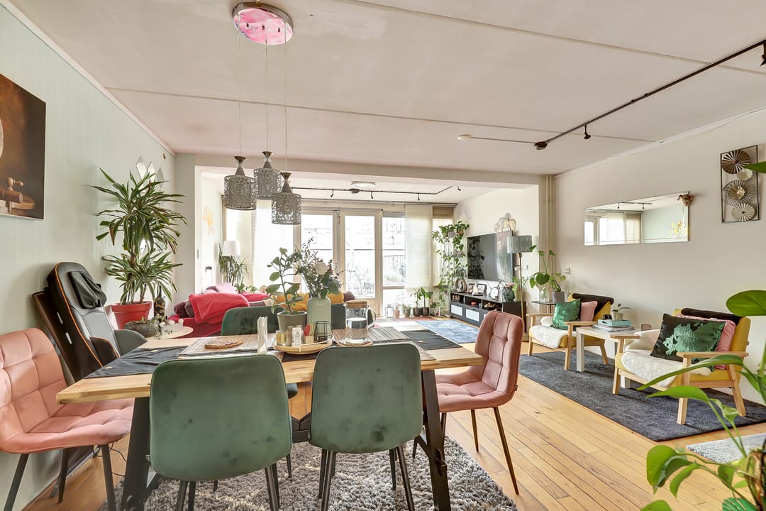 Photo 11 of Zilvermeeuw 18