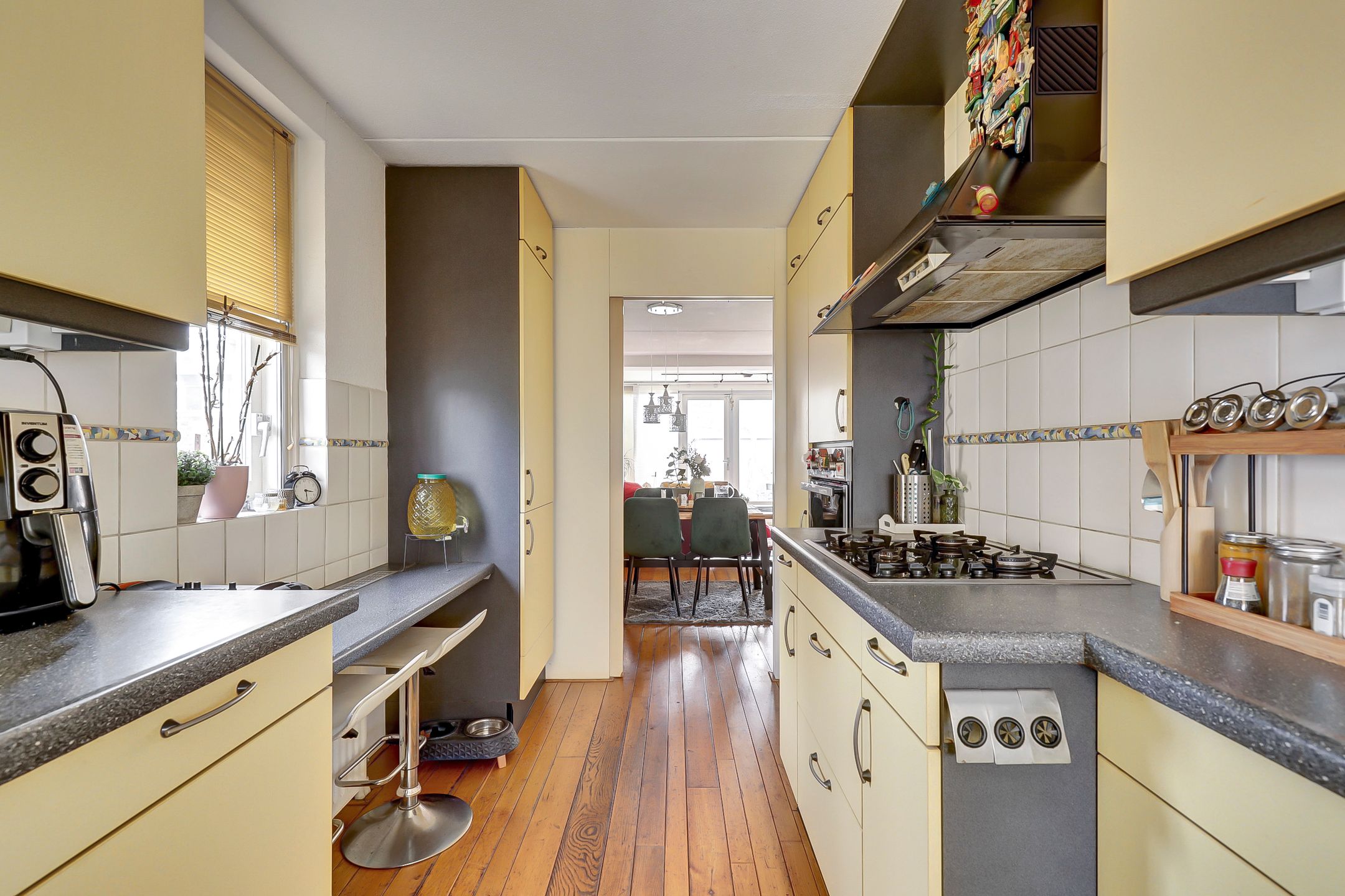 Photo 12 of Zilvermeeuw 18