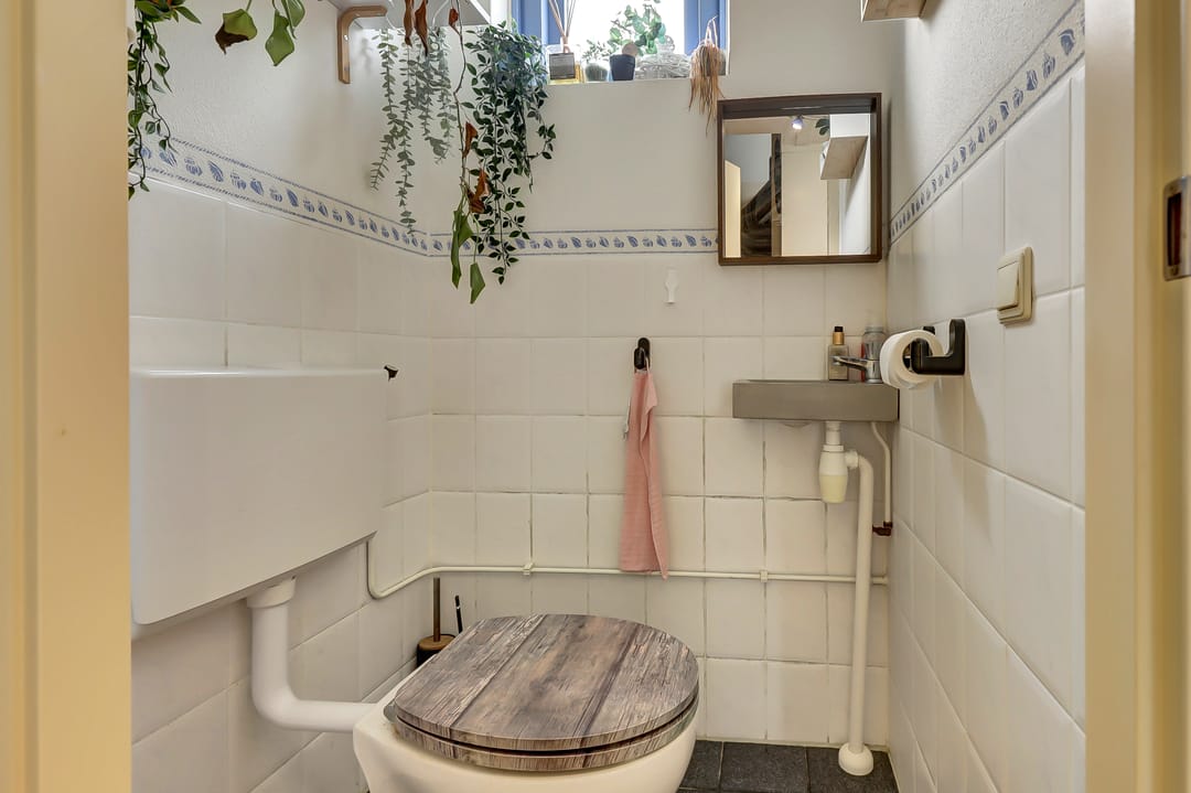 Photo 13 of Zilvermeeuw 18