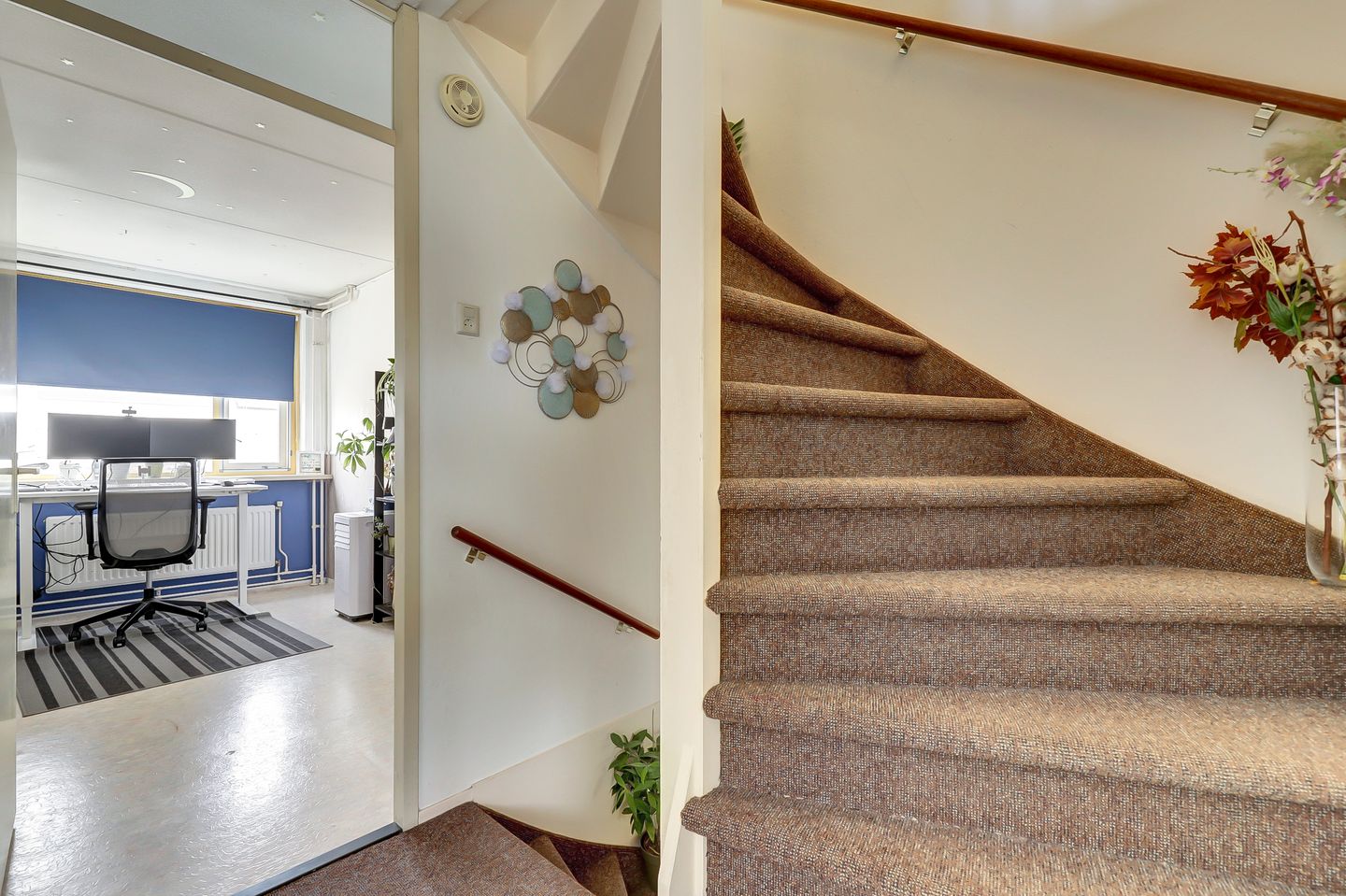 Photo 14 of Zilvermeeuw 18