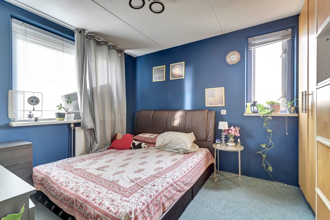 Photo 16 of Zilvermeeuw 18