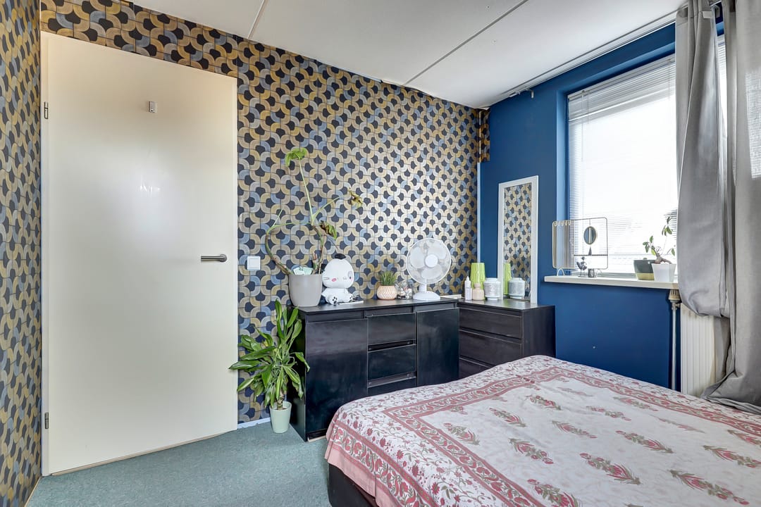 Photo 17 of Zilvermeeuw 18