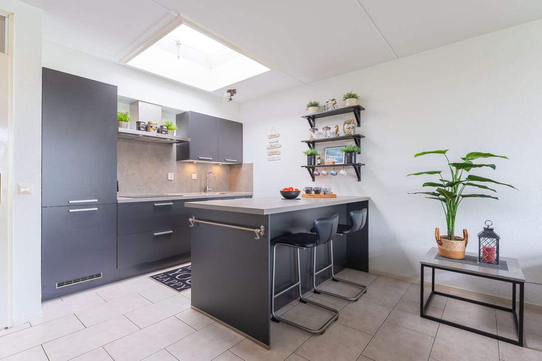 Foto 2 van Plevier 27