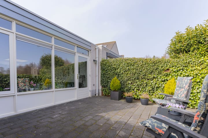 Photo 4 of Plevier 27