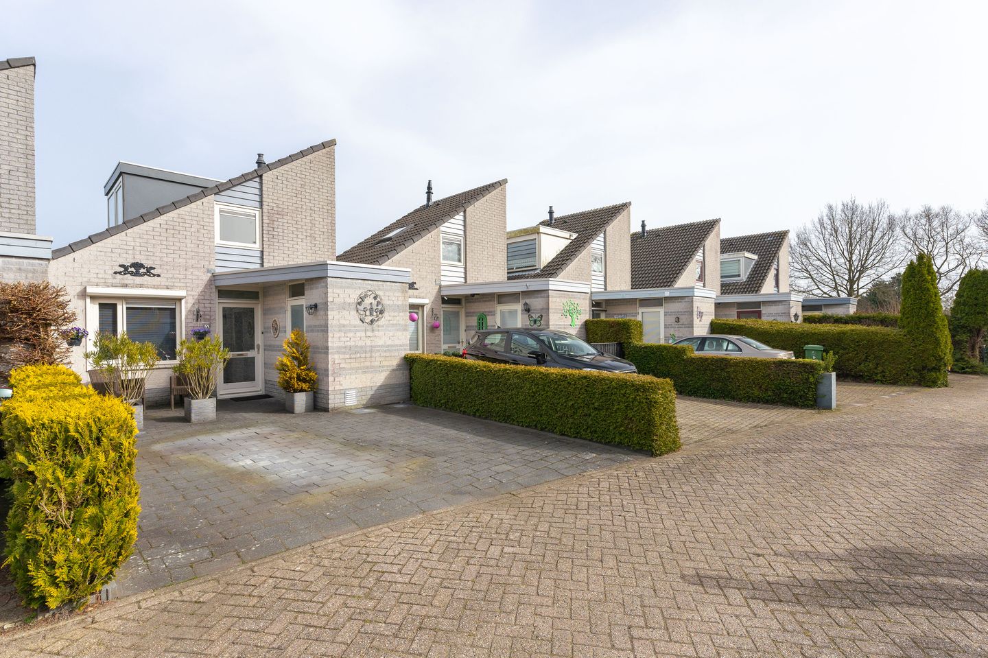 Foto 5 van Plevier 27