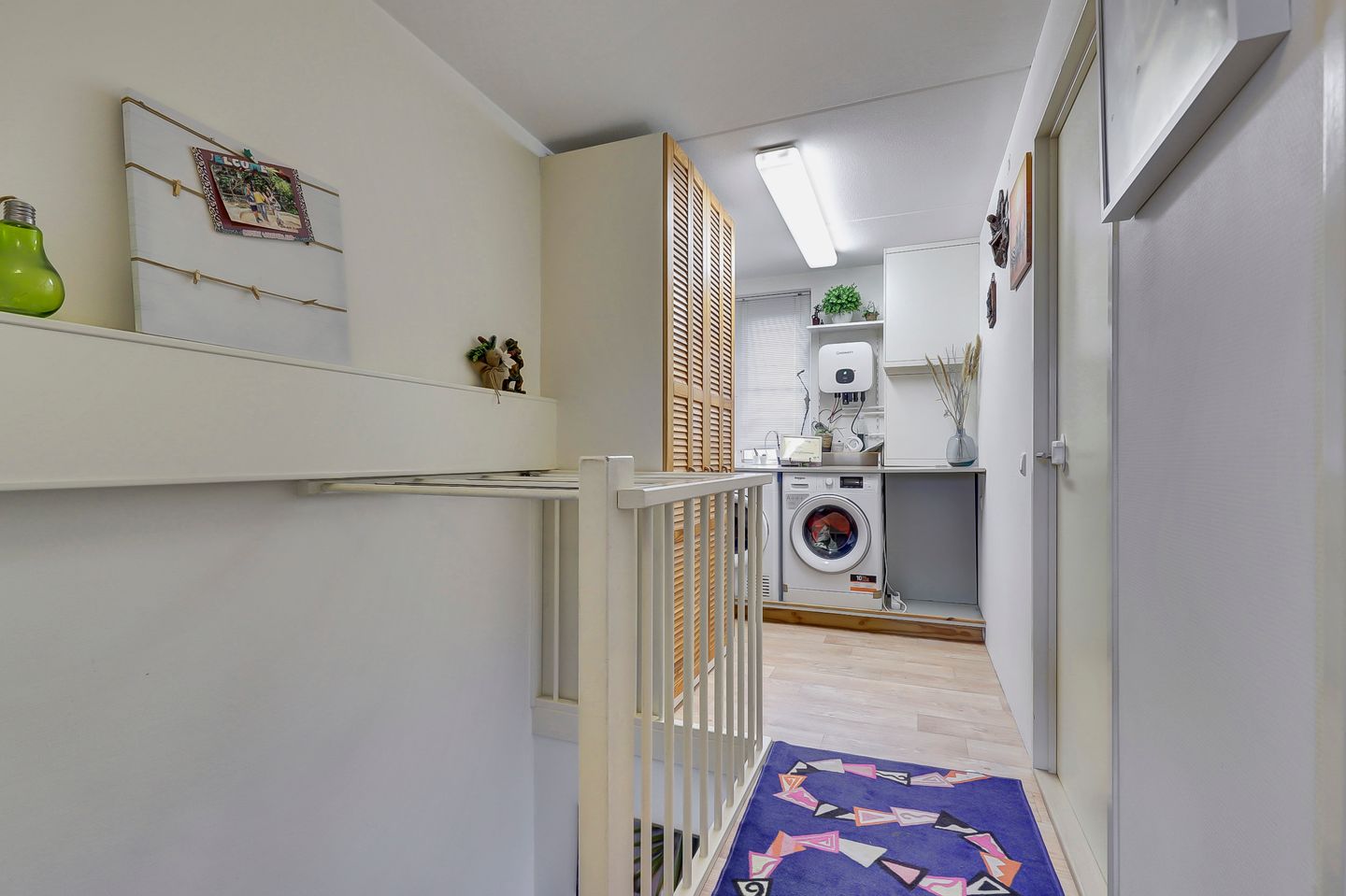 Photo 25 of Zilvermeeuw 18