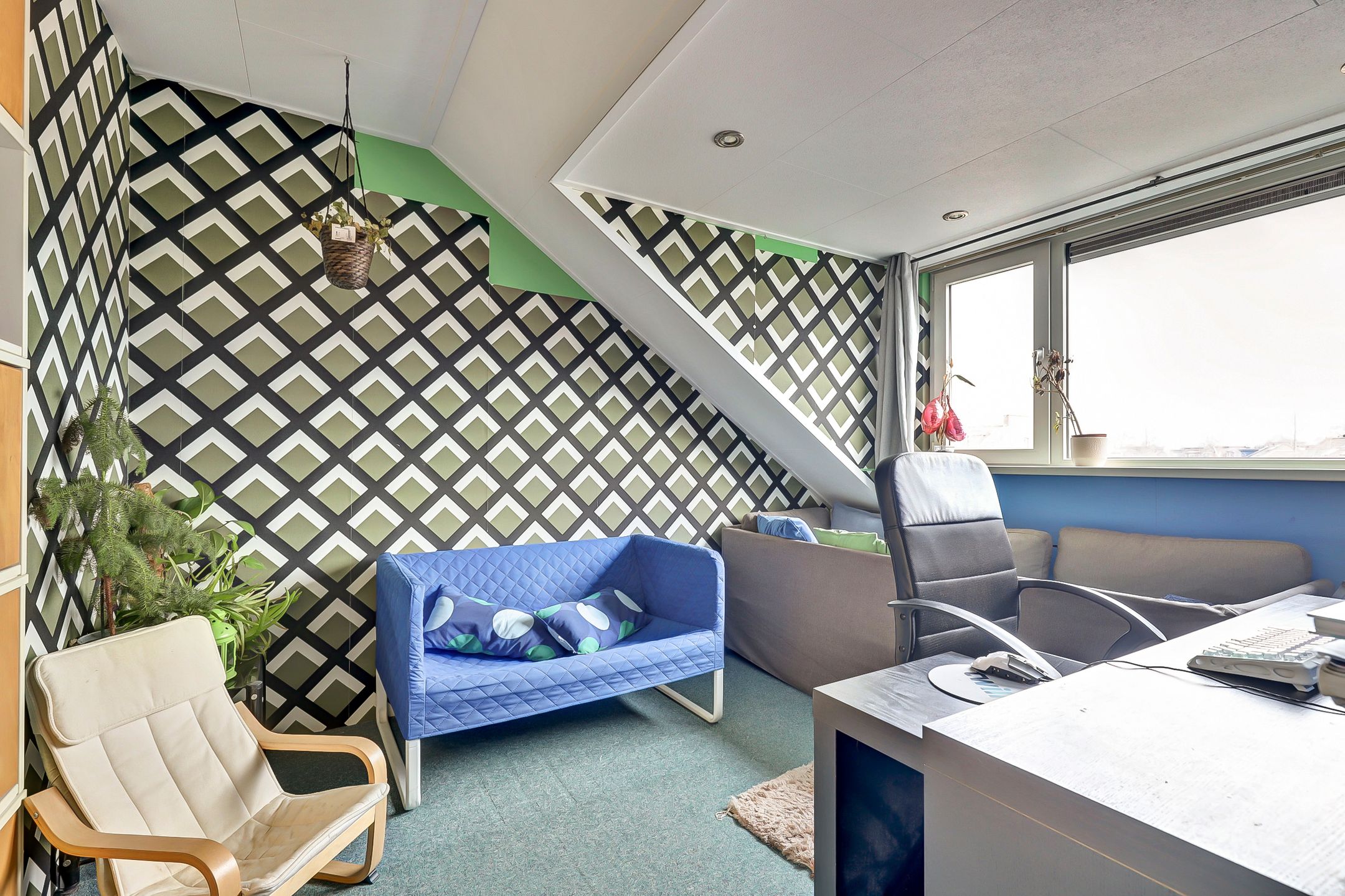 Photo 27 of Zilvermeeuw 18