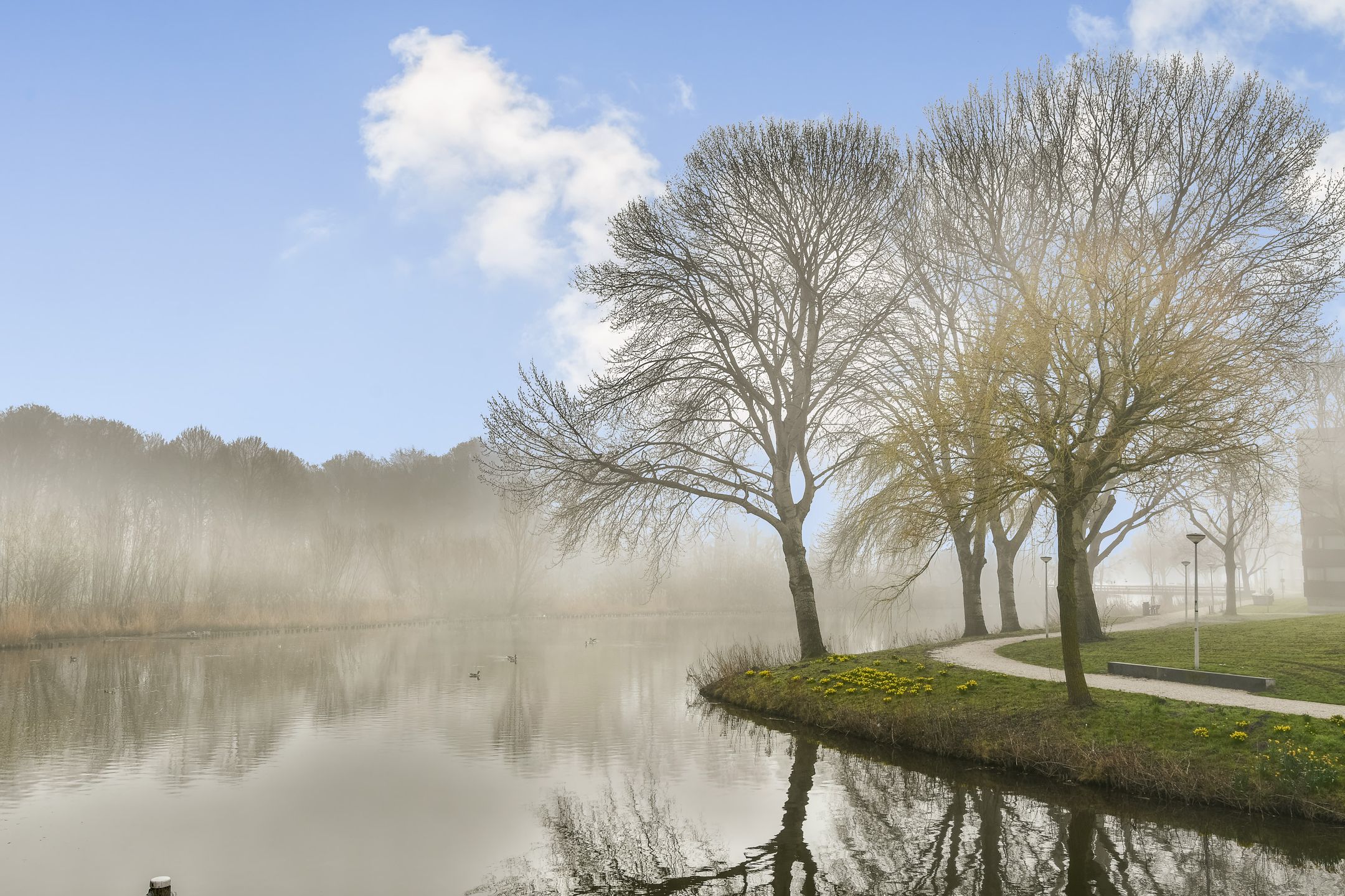 Foto 42 van President Allendelaan 101