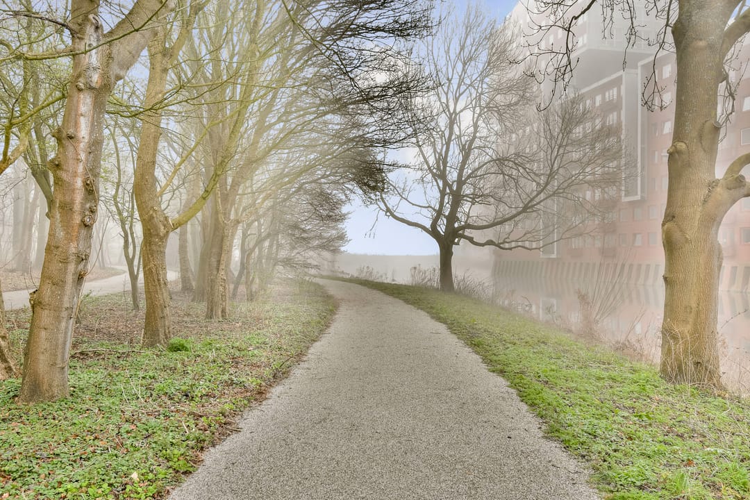 Foto 43 van President Allendelaan 101