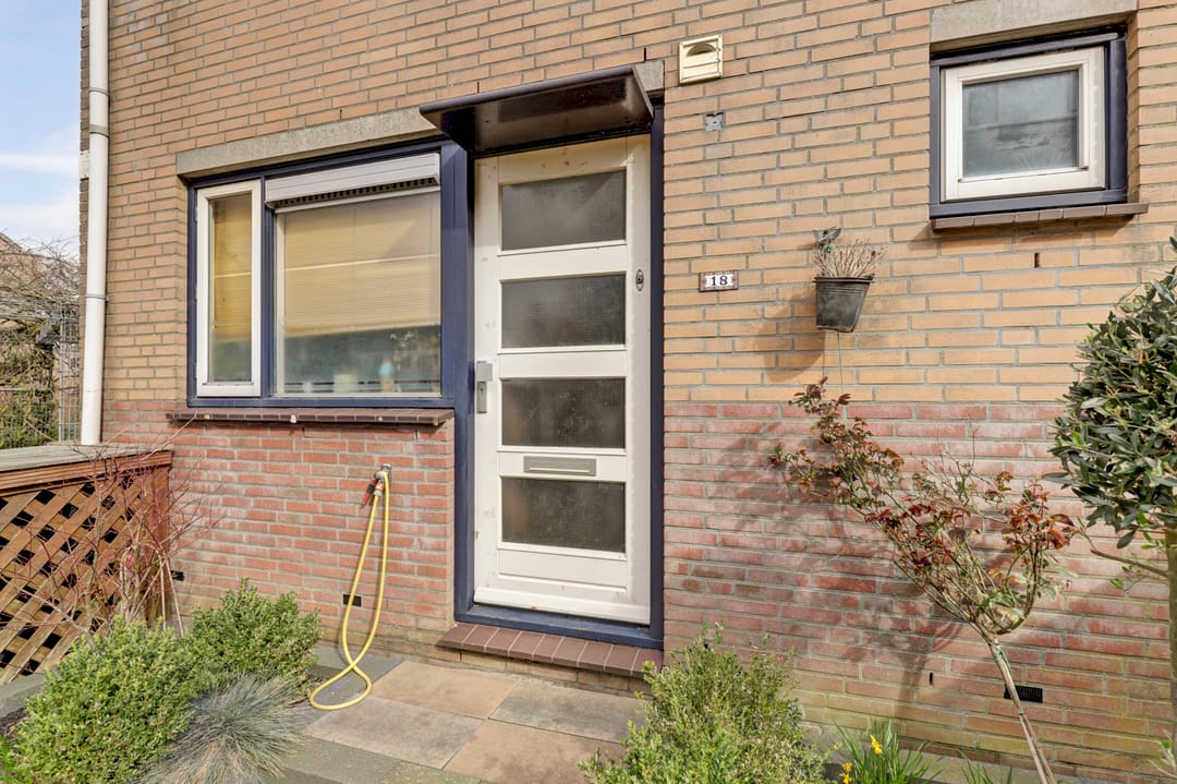 Photo 37 of Zilvermeeuw 18