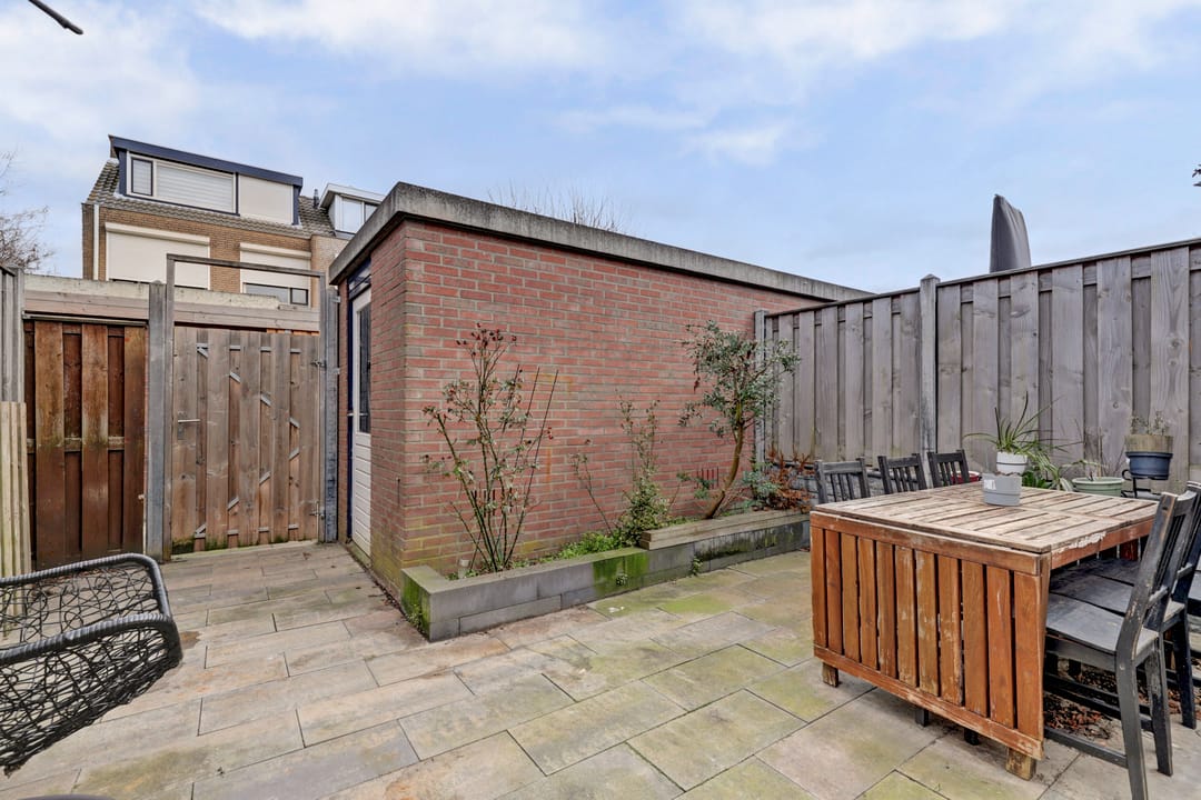 Photo 32 of Zilvermeeuw 18