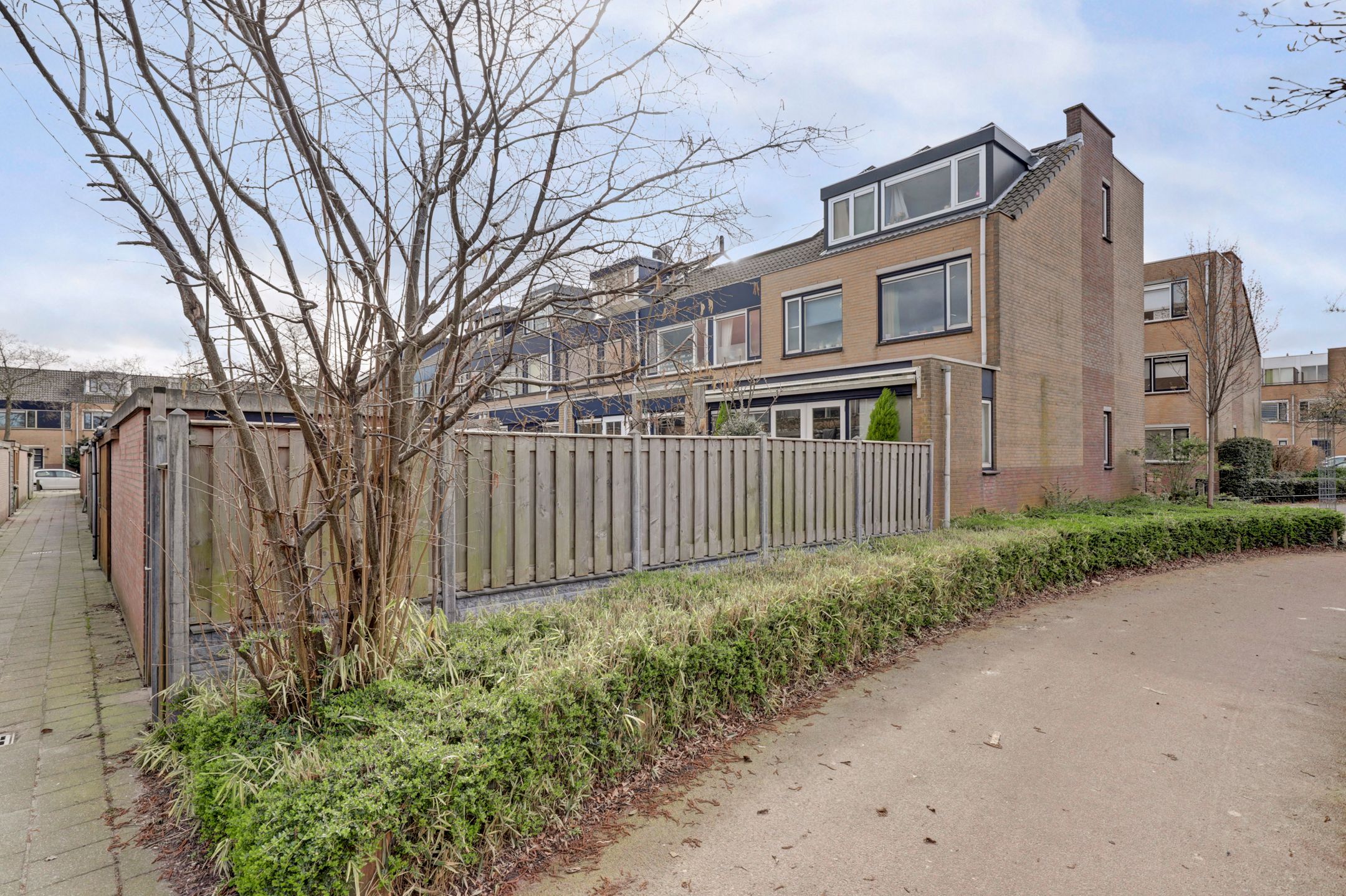 Photo 36 of Zilvermeeuw 18