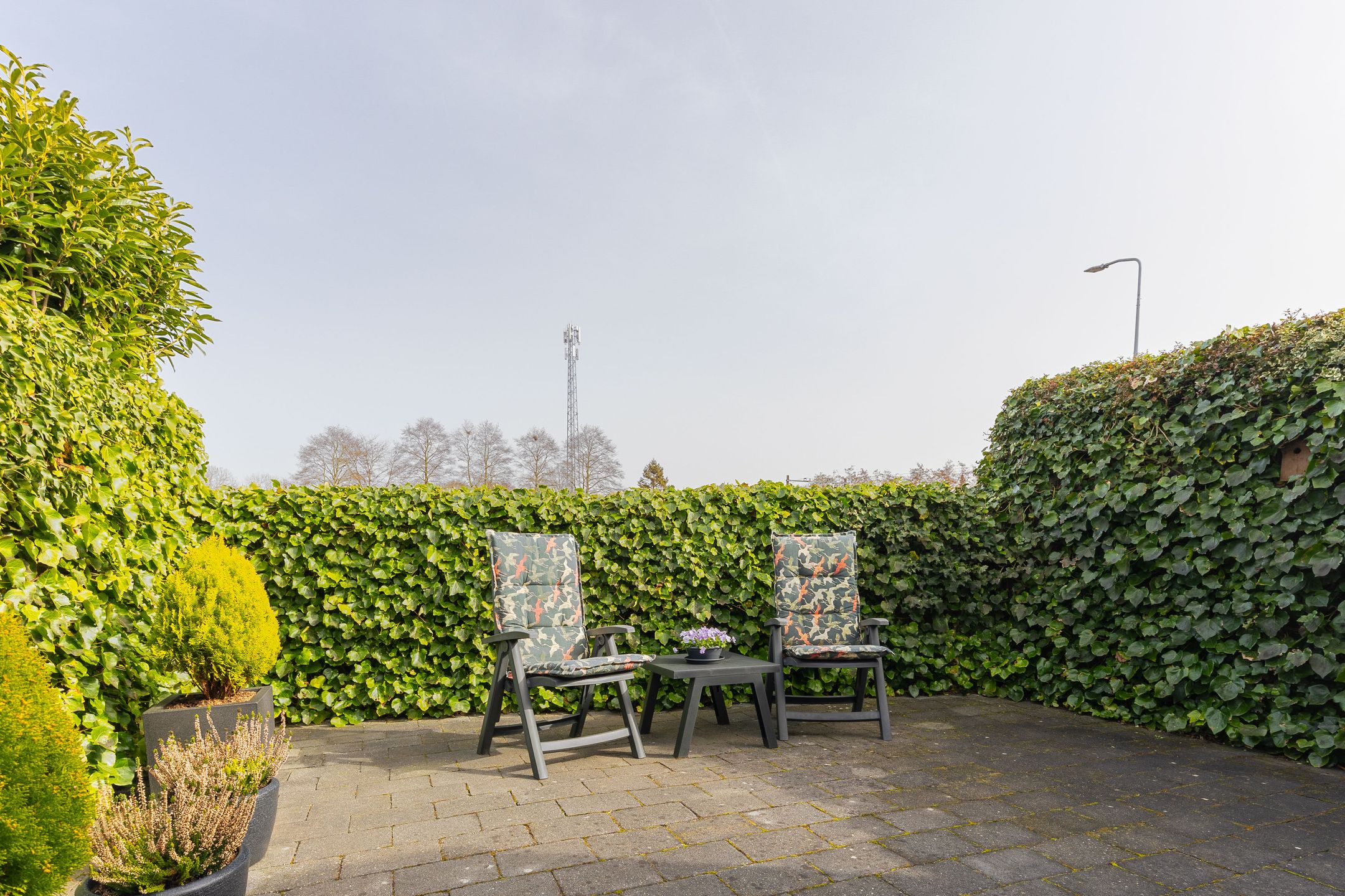 Foto 36 van Plevier 27