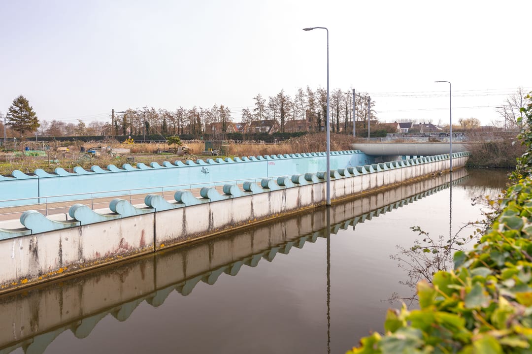 Foto 41 van Plevier 27