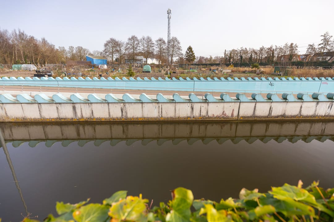 Foto 38 van Plevier 27