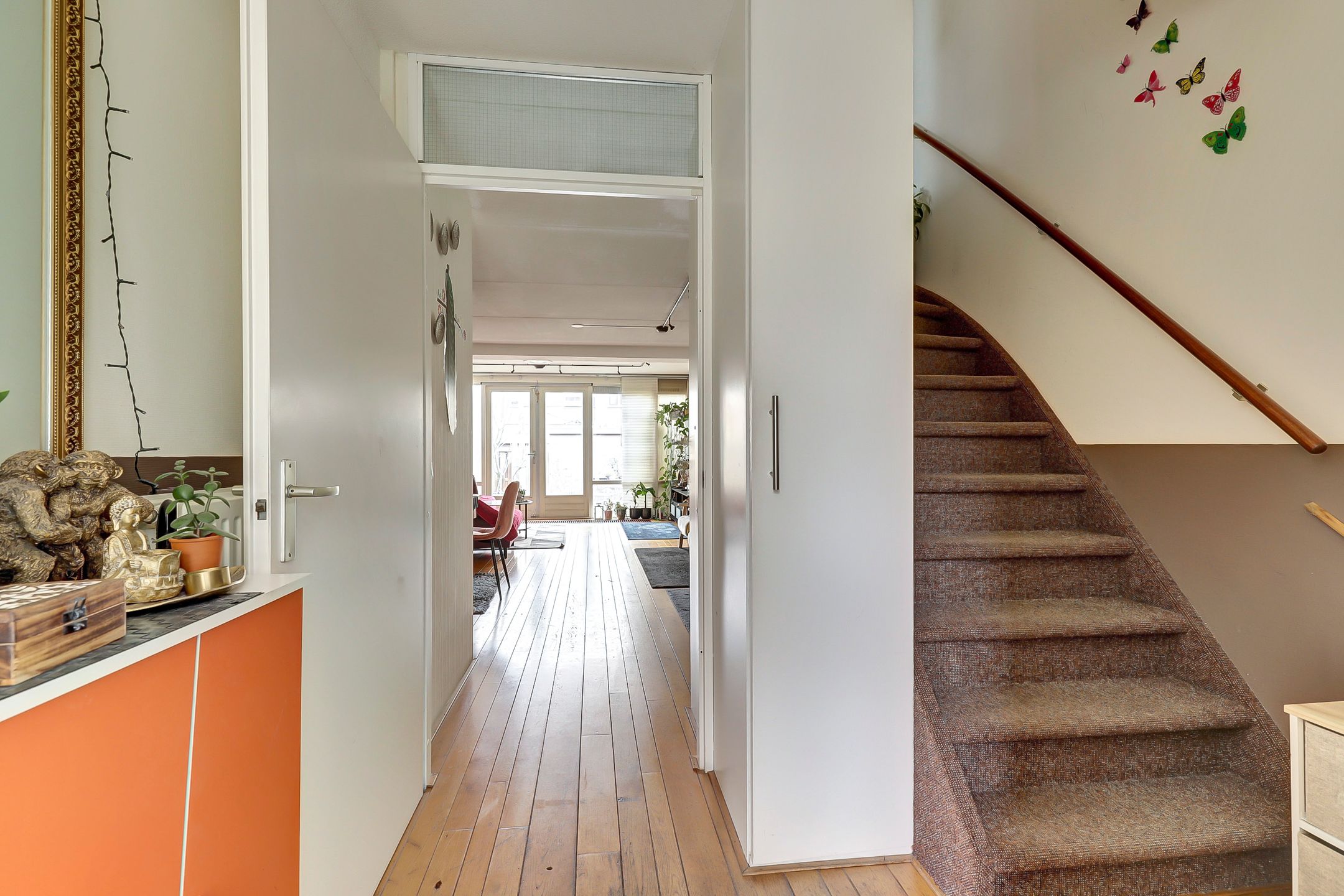 Photo 6 of Zilvermeeuw 18