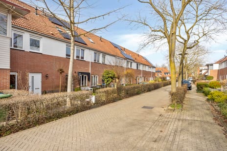 Hamersstraat thumbnail