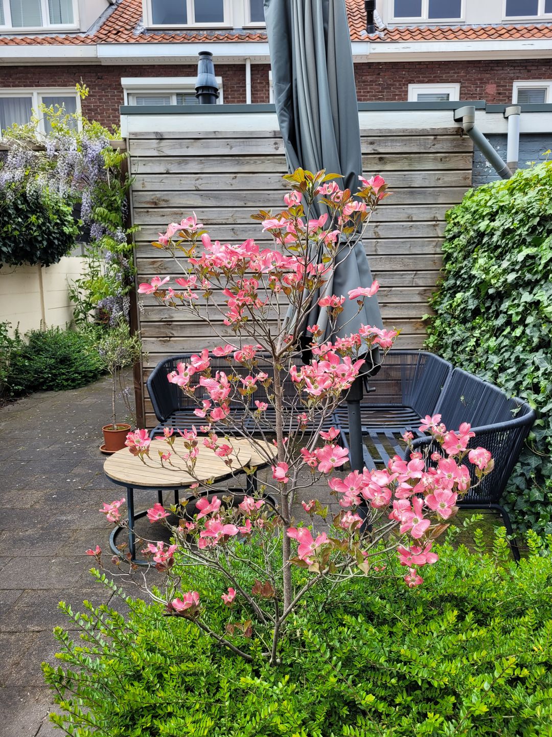Stylish and Move-in Ready 1930s Terraced House with Sunny South-Facing Garden in Tilburg — 37