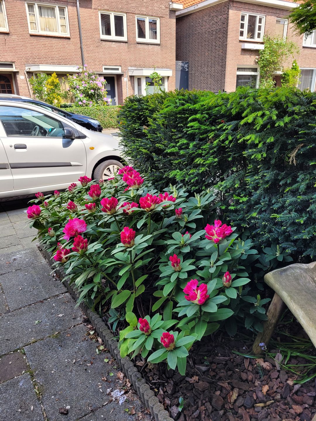 Stylish and Move-in Ready 1930s Terraced House with Sunny South-Facing Garden in Tilburg — 41