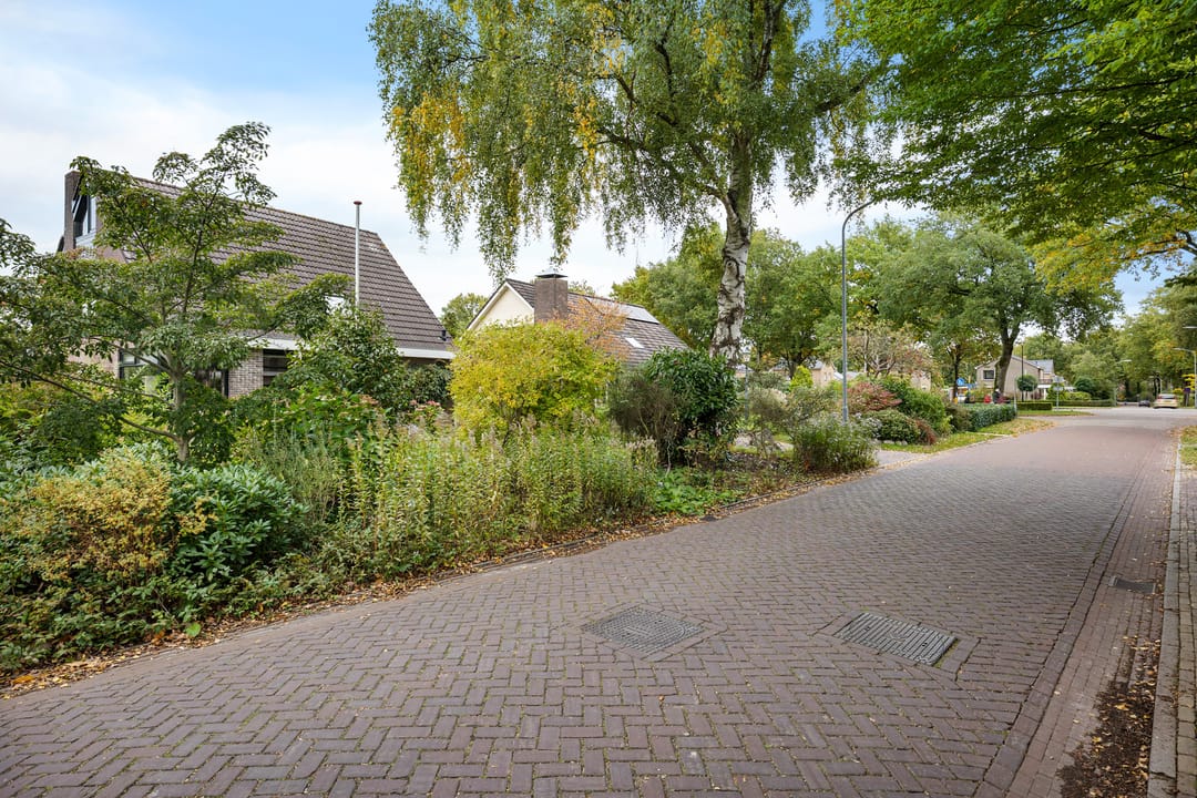 Photo 52 of Banderschulte 4