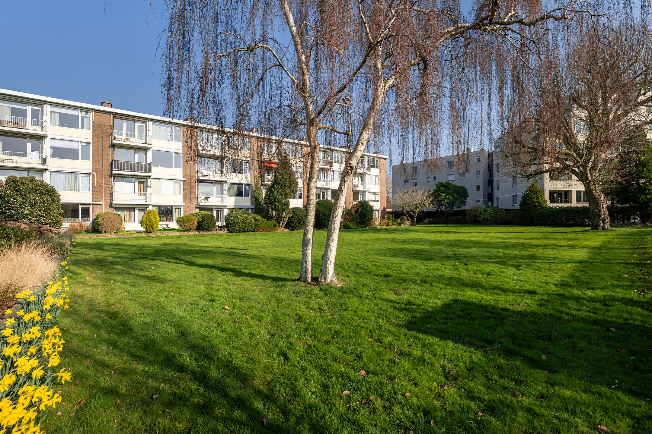 Photo 3 of Prins Hendrikplein 31