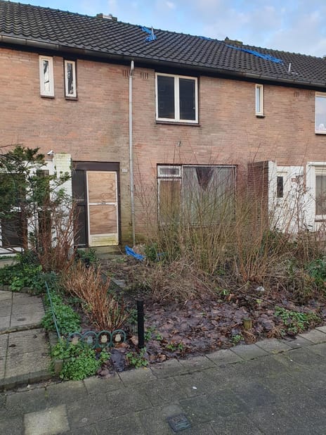 undefined main image