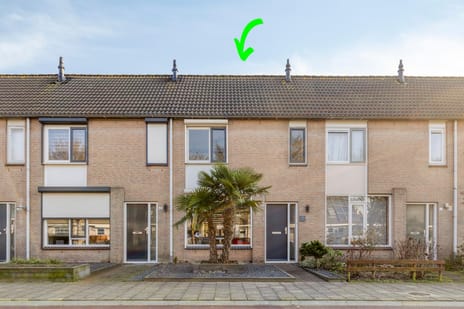 undefined main image