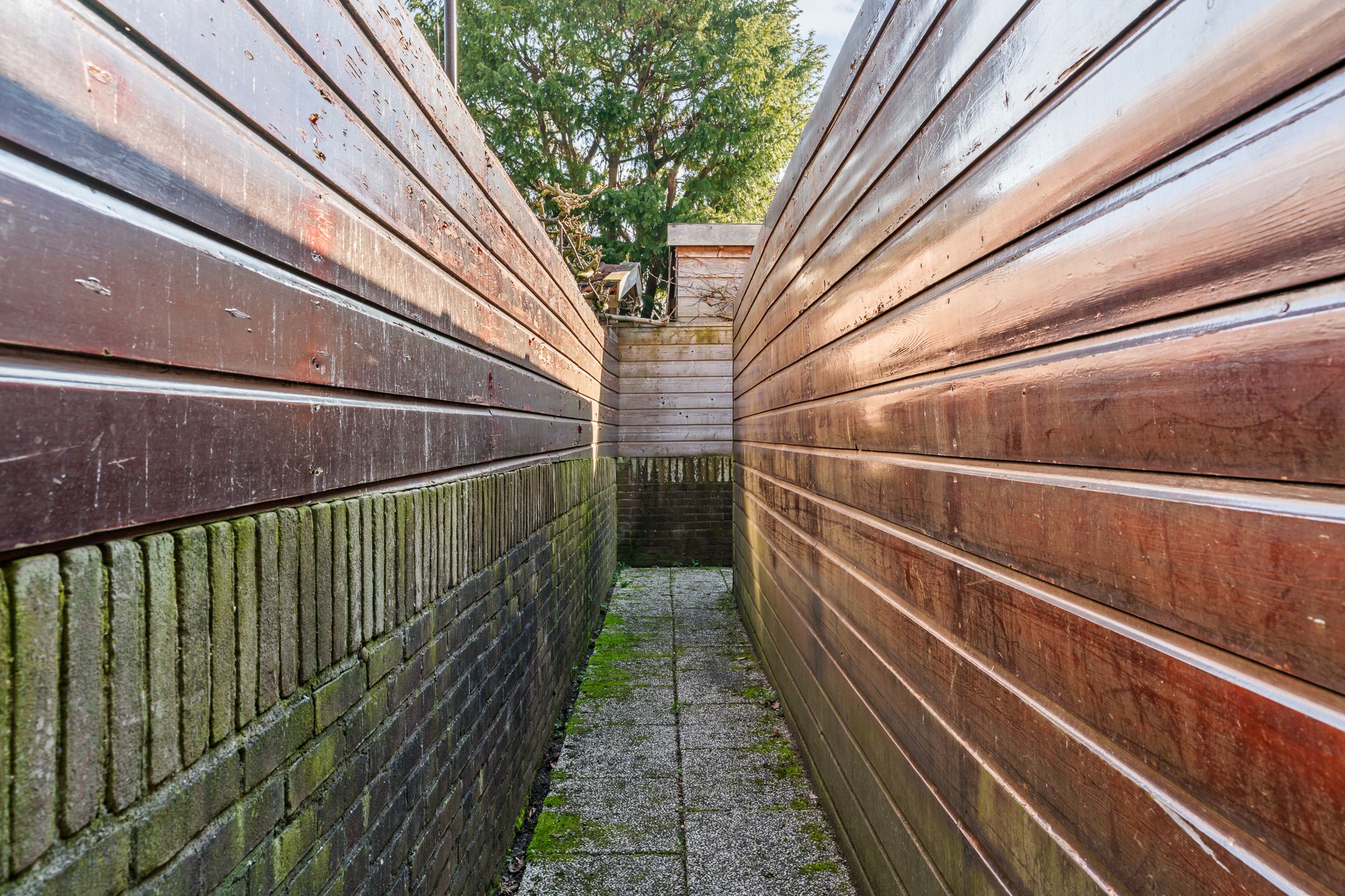 Foto 27 van Piet Heinlaan 10