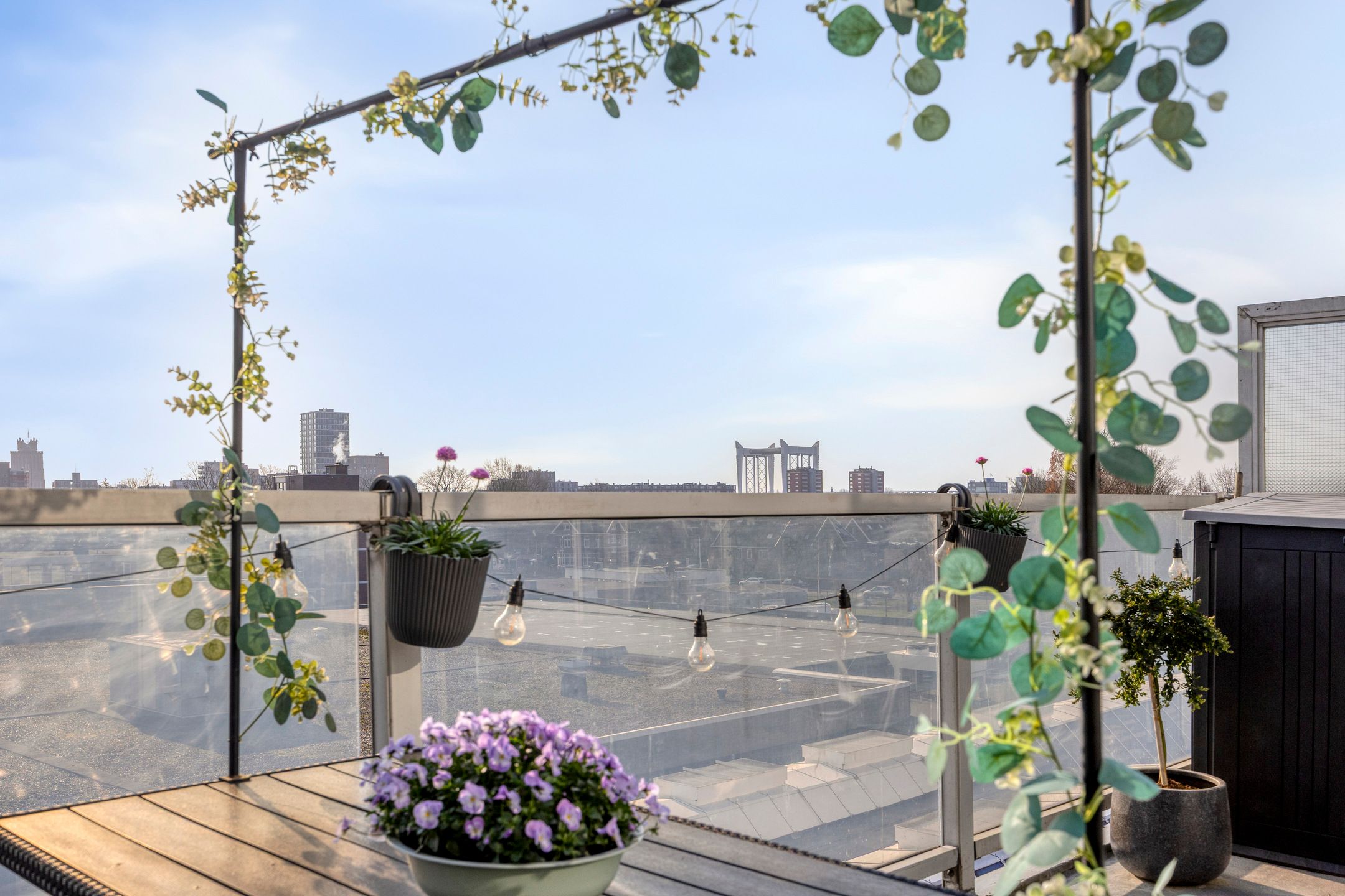 Foto 9 van Wadden 57