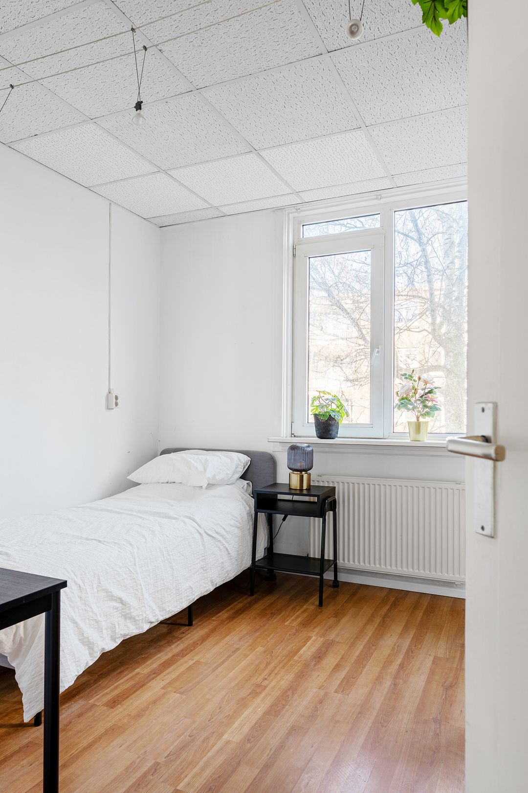 Foto 22 van Stadhoudersweg 105-B