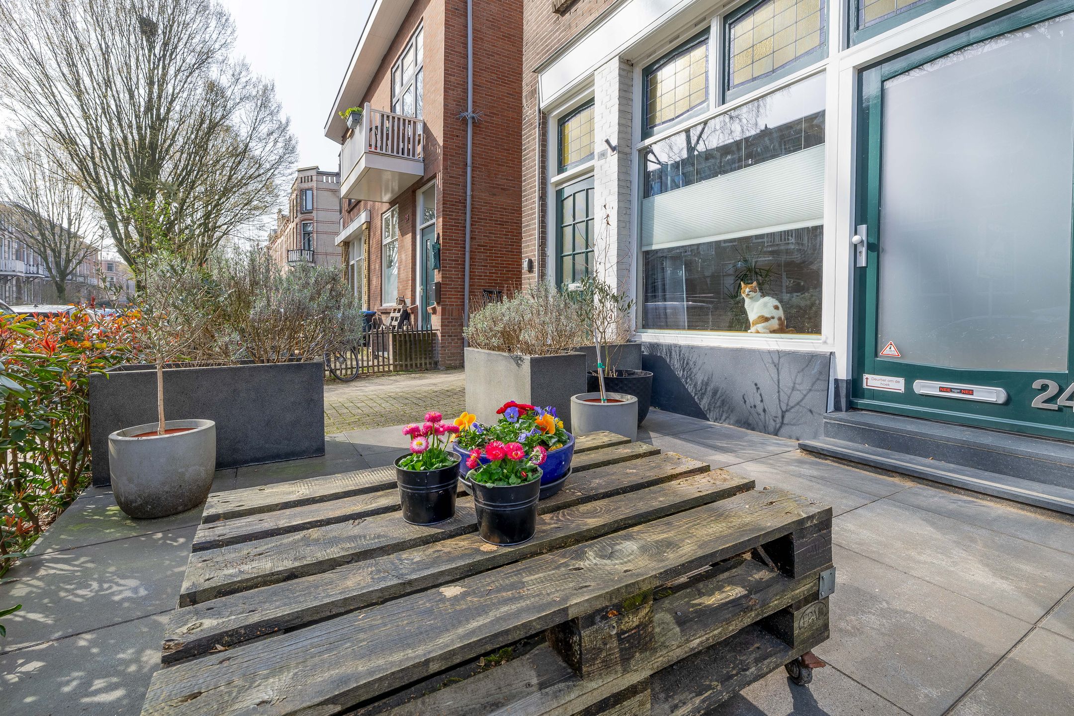 Photo 60 of St. Antonielaan 24